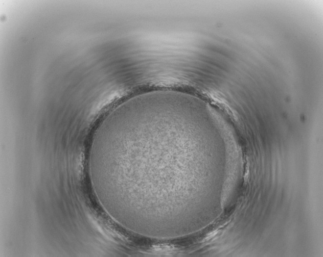 X0000088430591200705291527