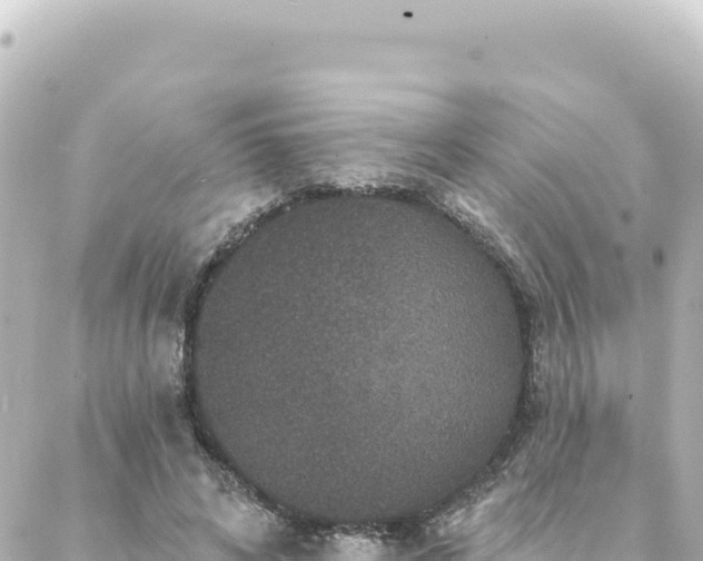 X0000088430592200705291527