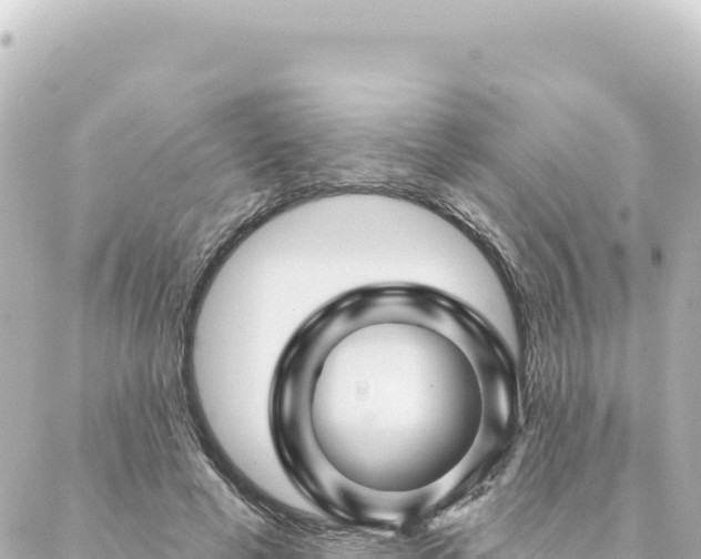 X0000088430593200705291527