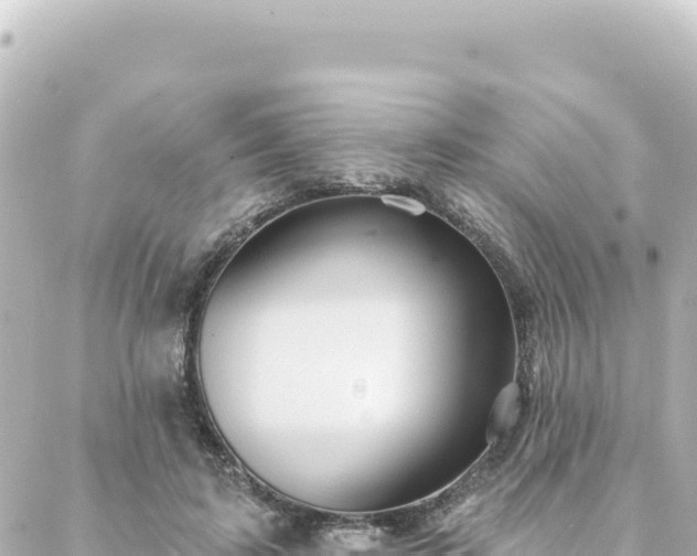 X0000088430595200705291527