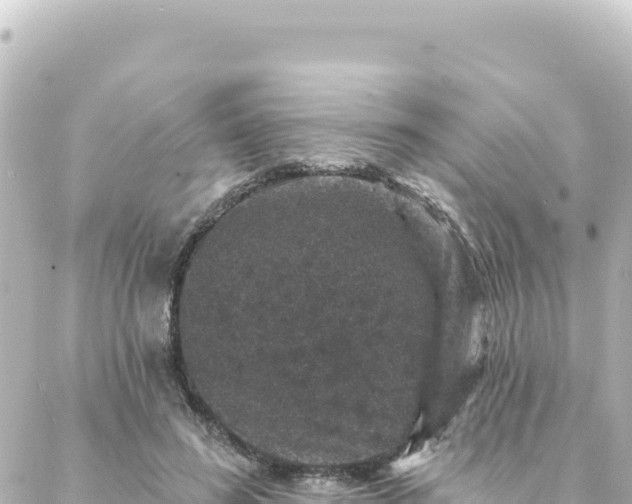 X0000088430596200705291527