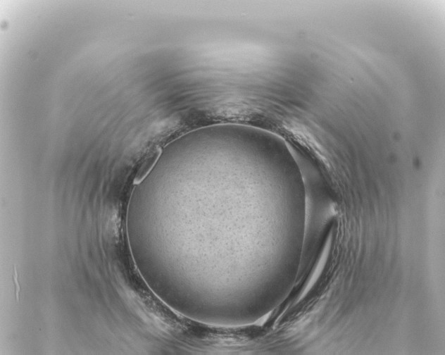 X0000088430597200705291527