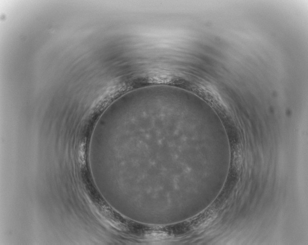 X0000088430598200705291527