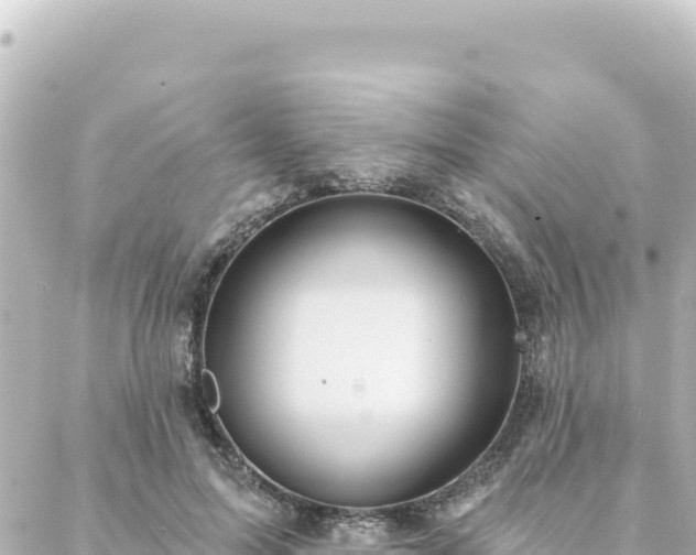 X0000088430599200705291527