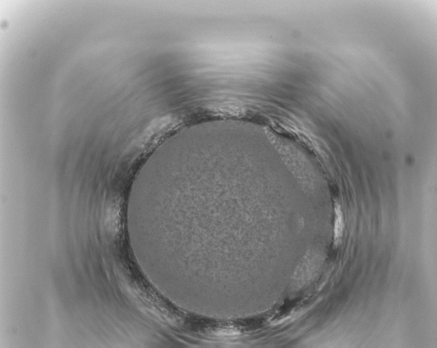 X0000088430600200705291527