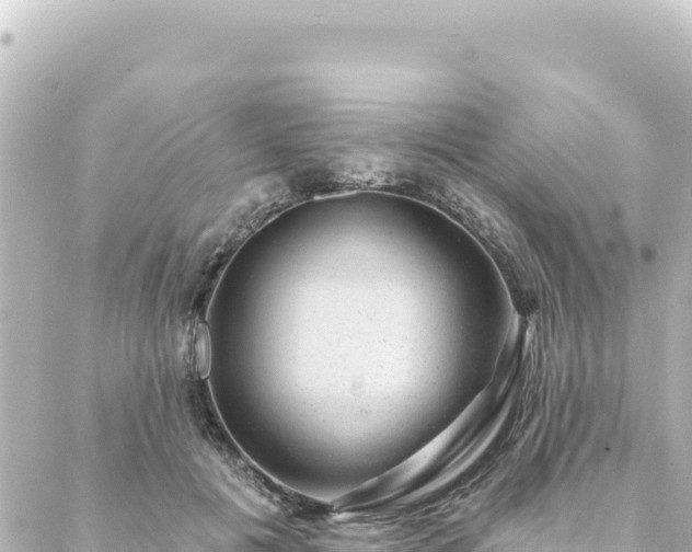 X0000088430601200705291527