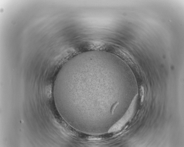 X0000088430602200705291527