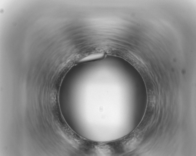 X0000088430603200705291527