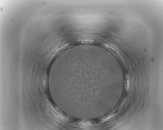 X0000088430604200705291527