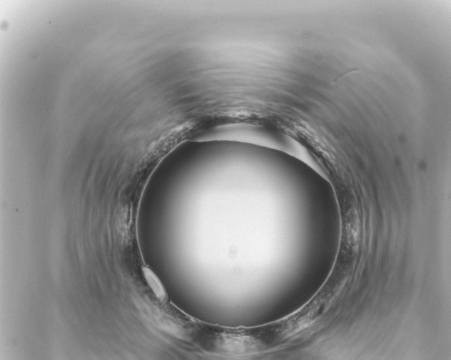 X0000088430605200705291527