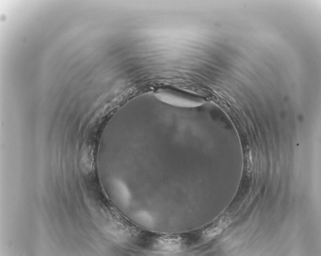 X0000088430606200705291527