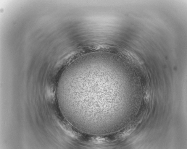 X0000088430607200705291527