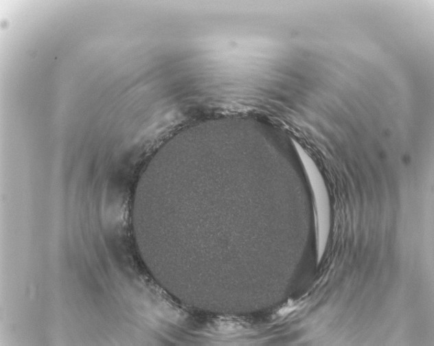 X0000088430608200705291527