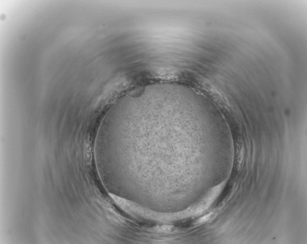 X0000088430609200705291527