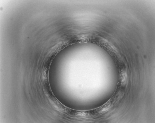 X0000088430611200705291527