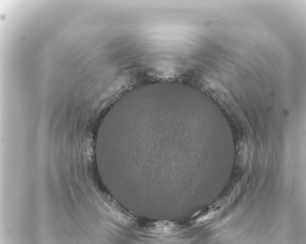 X0000088430612200705291527