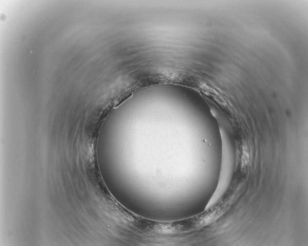 X0000088430613200705291526