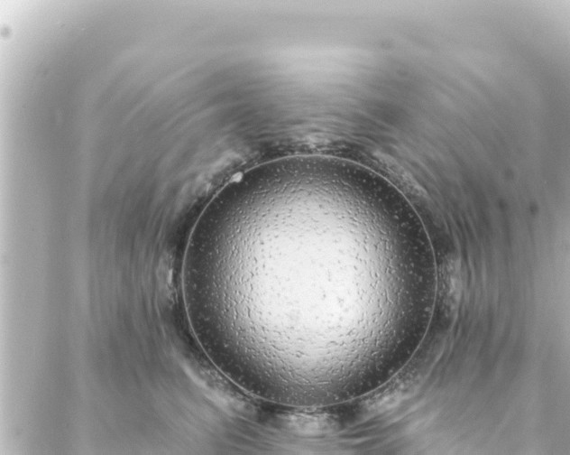 X0000088430615200705291526