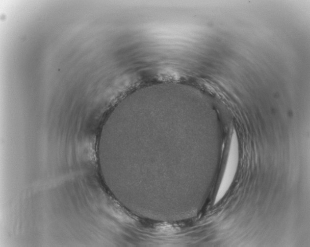 X0000088430616200705291526