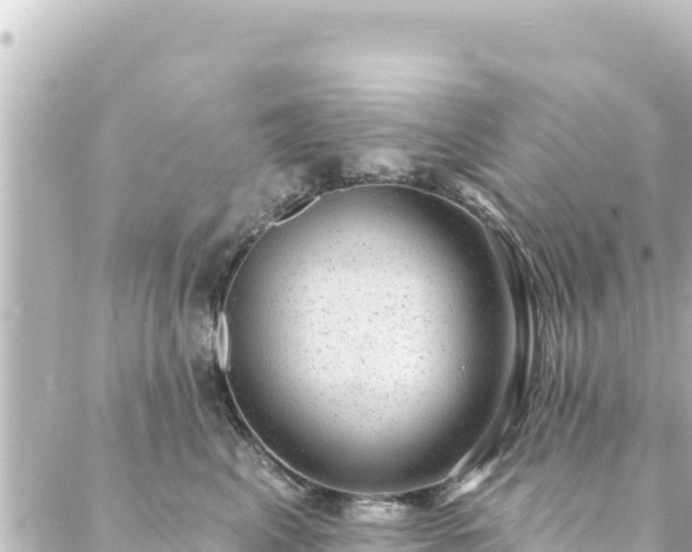 X0000088430617200705291526