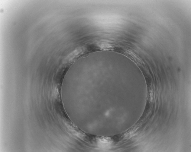 X0000088430618200705291526