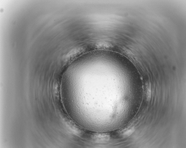 X0000088430619200705291526