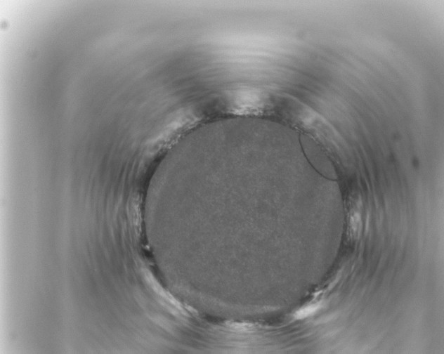 X0000088430620200705291526