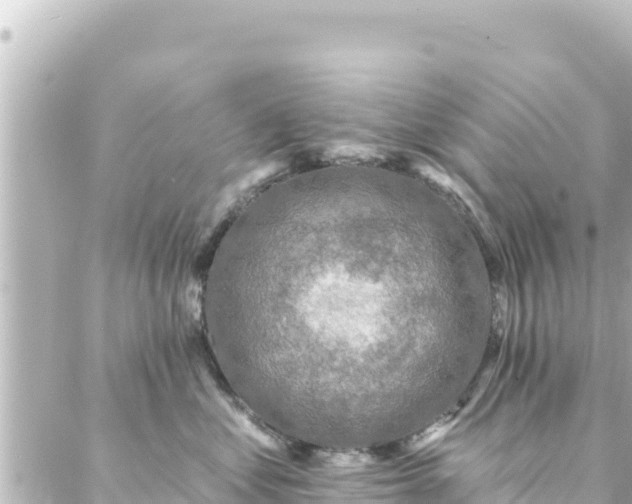 X0000088430621200705291526