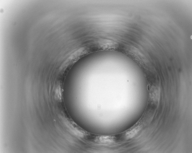 X0000088430622200705291526