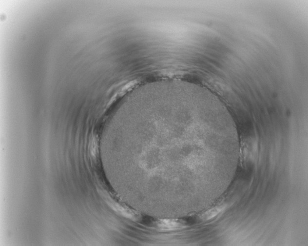 X0000088430623200705291526