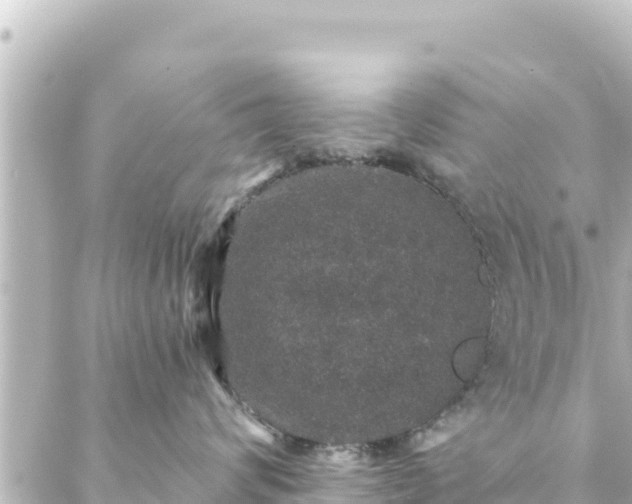 X0000088430624200705291526