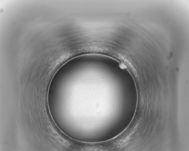 X0000088430625200705291526