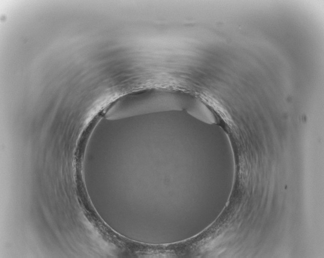 X0000088430626200705291526