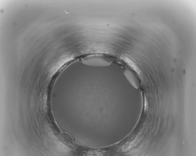 X0000088430627200705291526