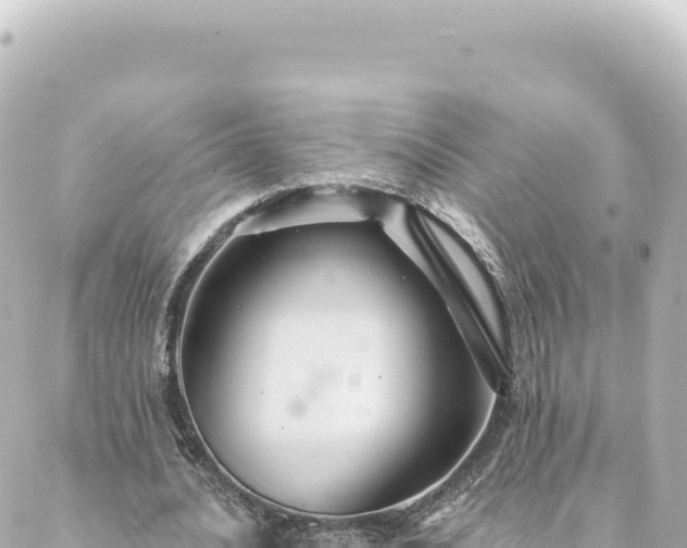 X0000088430628200705291526