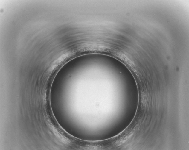 X0000088430629200705291526