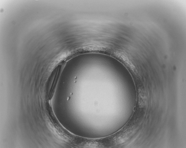 X0000088430631200705291526