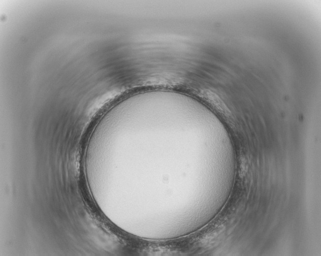 X0000088430632200705291526