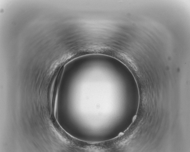 X0000088430633200705291526