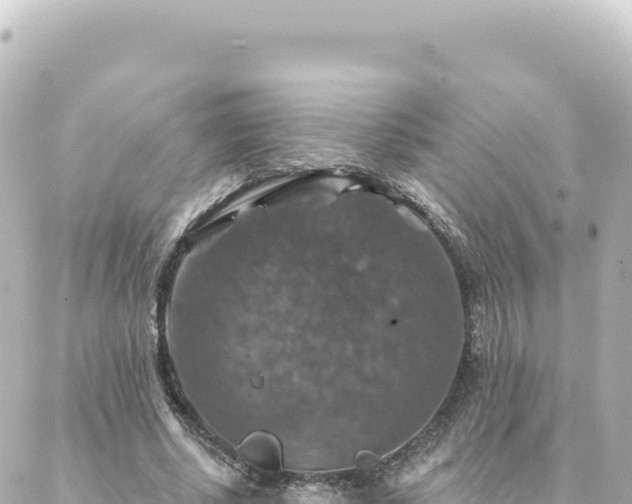 X0000088430634200705291526