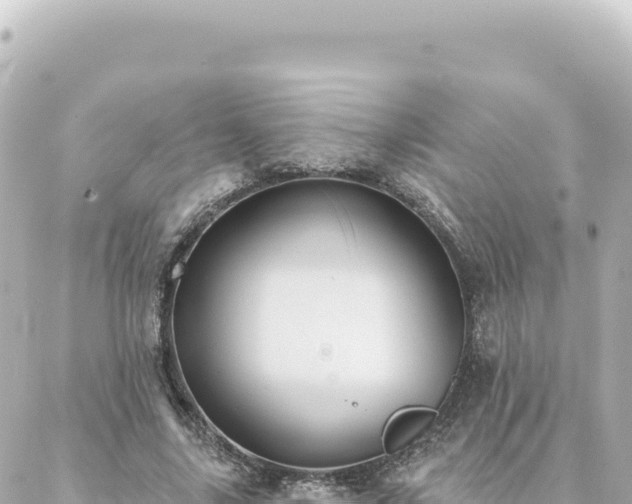 X0000088430635200705291526