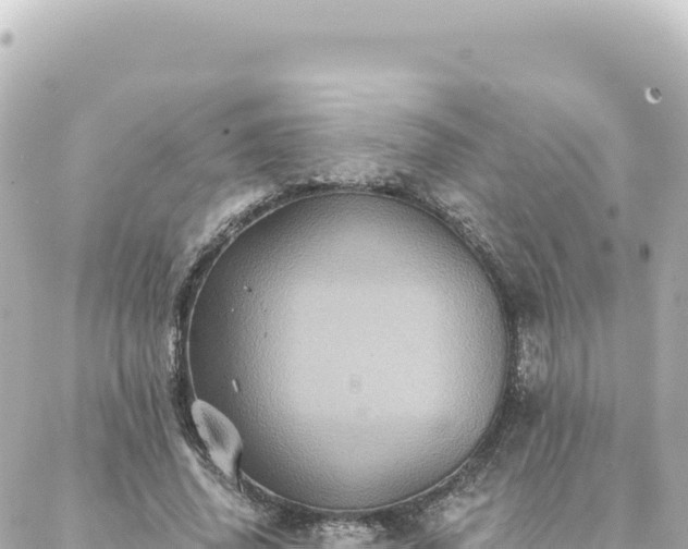 X0000088430636200705291526