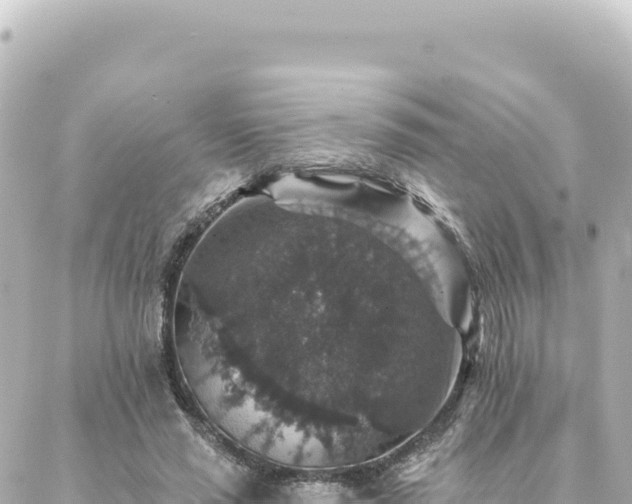 X0000088430637200705291526