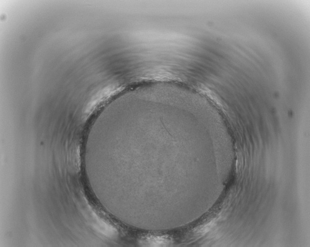 X0000088430638200705291526