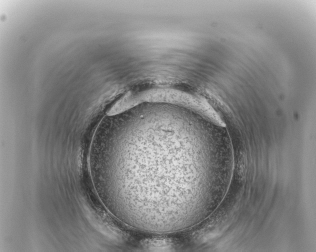 X0000088430639200705291526