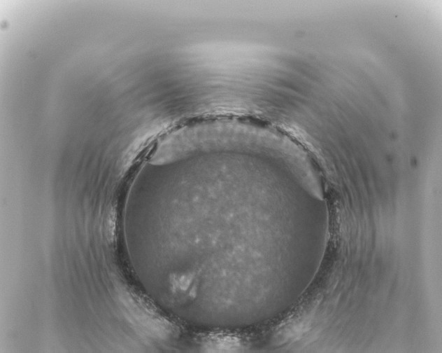 X0000088430640200705291526