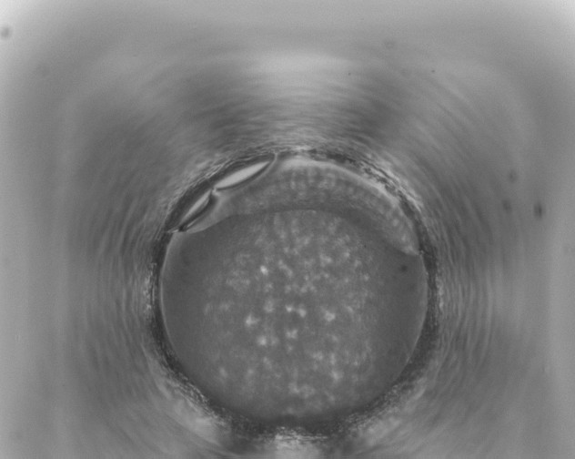 X0000088430641200705291526