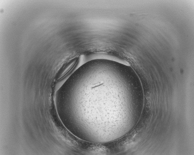 X0000088430642200705291526