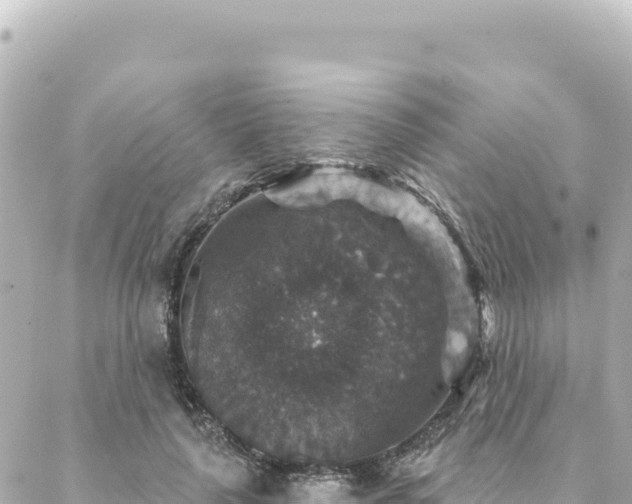 X0000088430643200705291526