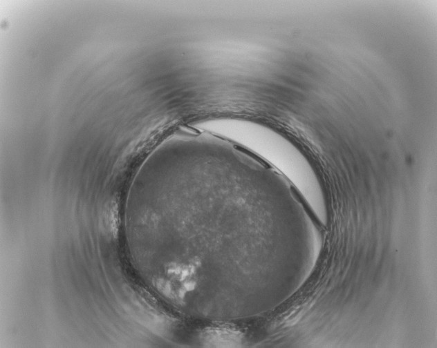 X0000088430644200705291526